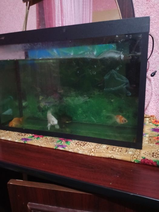 Аквариум 2та сотилади