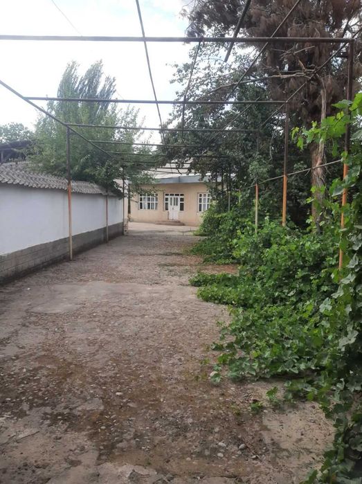 СДАЕТСЯ ДОМ Янгибазаре