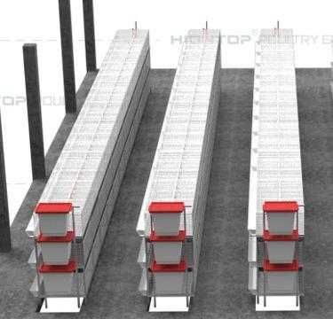 клетки для кур несушек