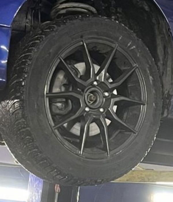 Дика хорошый состояения