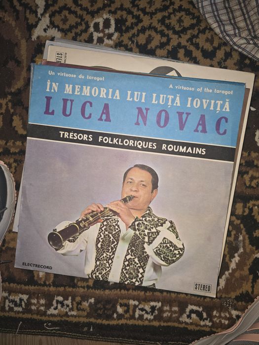 Discuri  de vinil