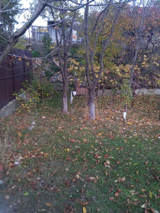 Pământ de vânzare