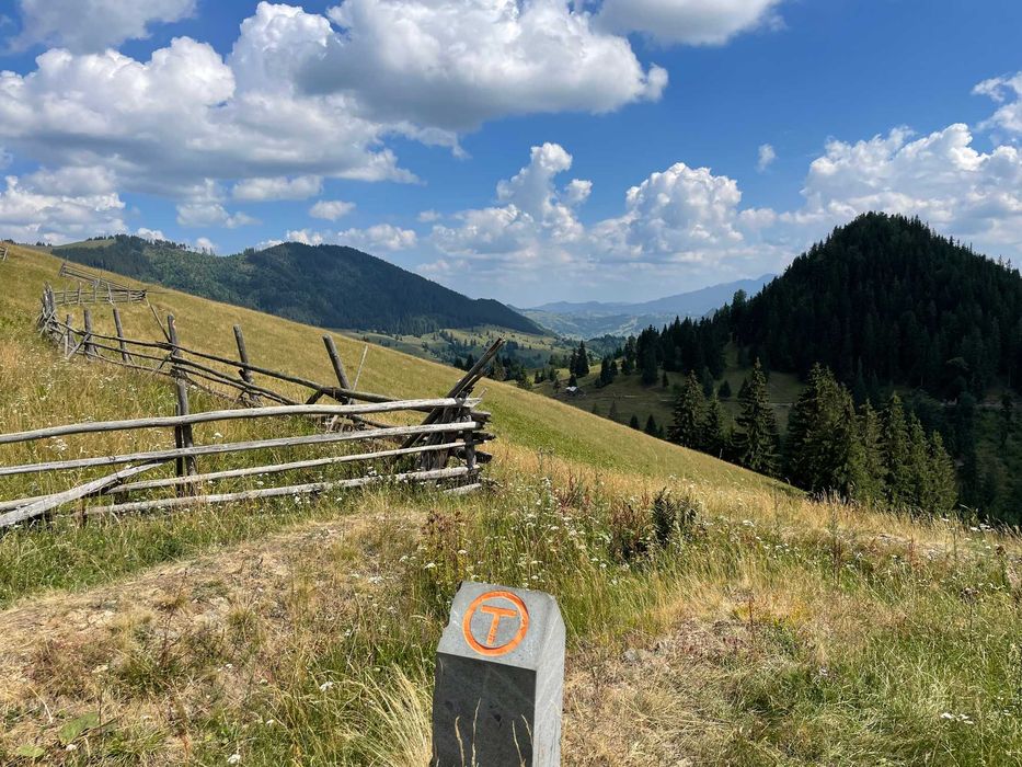 Unicat! 17 Ha Hectare teren intravilan + extravilan in Fundu Moldovei