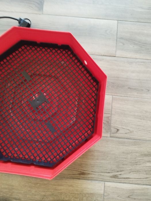 Incubator  oua cleo5