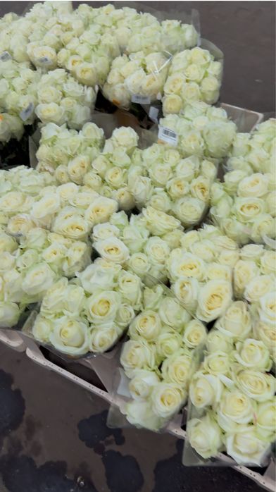 Trandafiri proaspeți în buchete rafinate- minim 25 fire