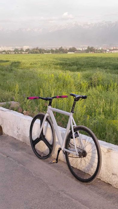 GRAY F10 фикс fixed gear