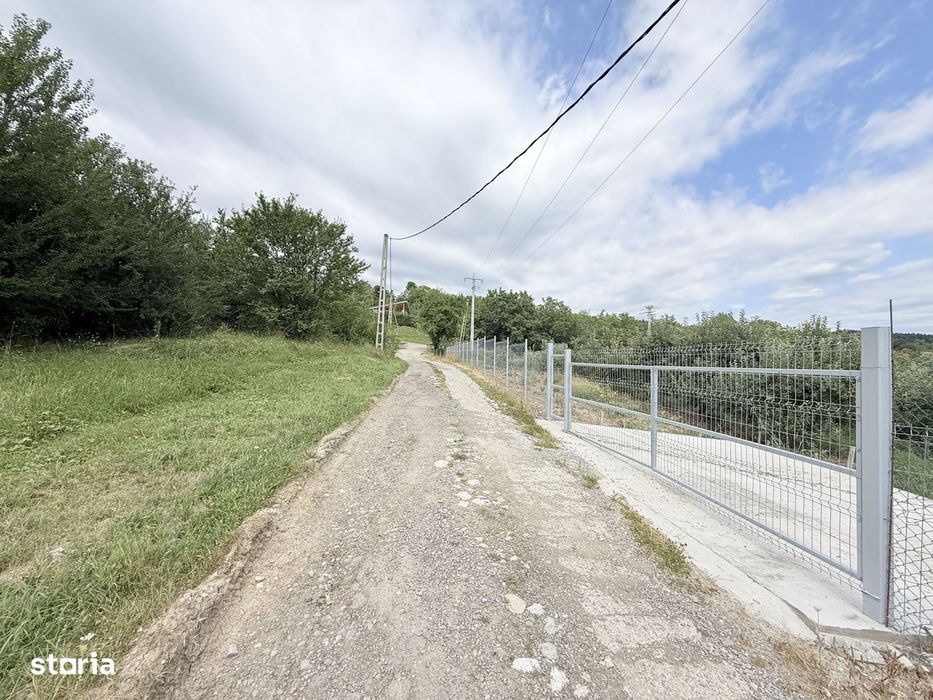 Teren intravilan 2771mp, cu livadă de meri, Breaza - Livada lui David