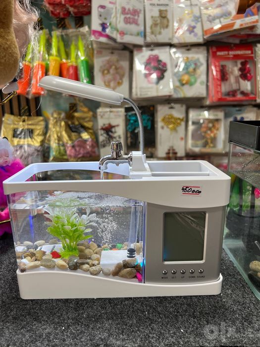 Dekorativniy akvarium