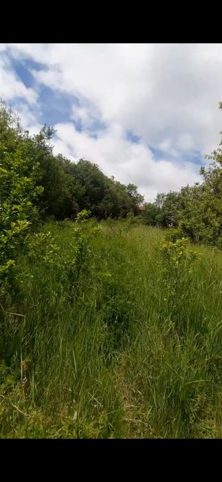 Продава се Парцел в София, Стрелбище - 1763 кв.м за 17 €/кв.м - Снимка #9