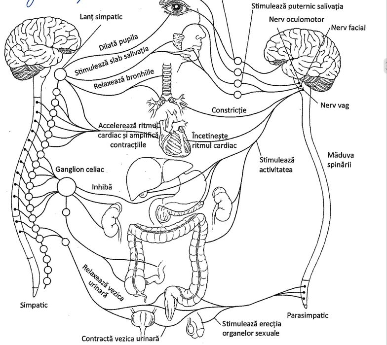 Meditații medicina Barron's și bac chimie organica + bac biologie