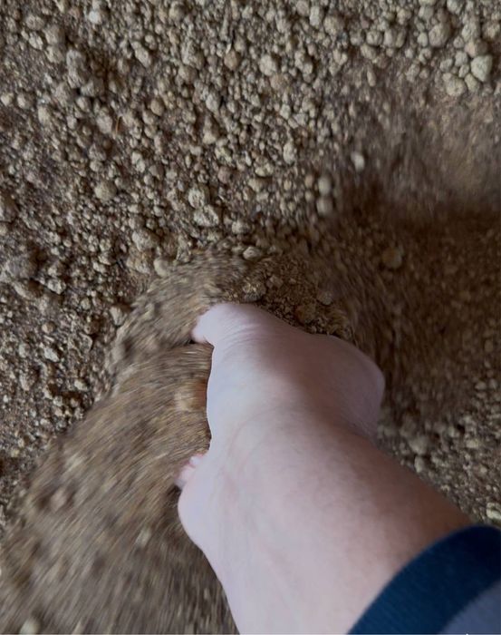 Рапсовый шрот от производителя на прямую