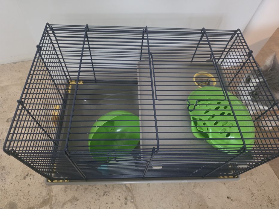 Cusca hamster complet echipata