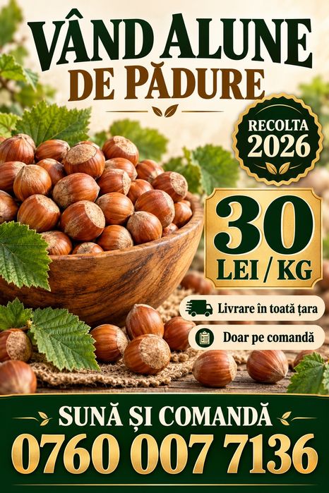 Vând alune de pădure din recolta acestui an – 30 lei/kg