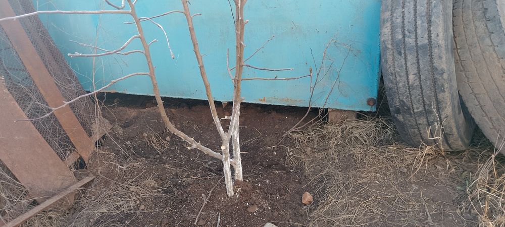 Продаются чан для воды