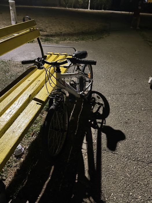 Bicicletă rookie 20