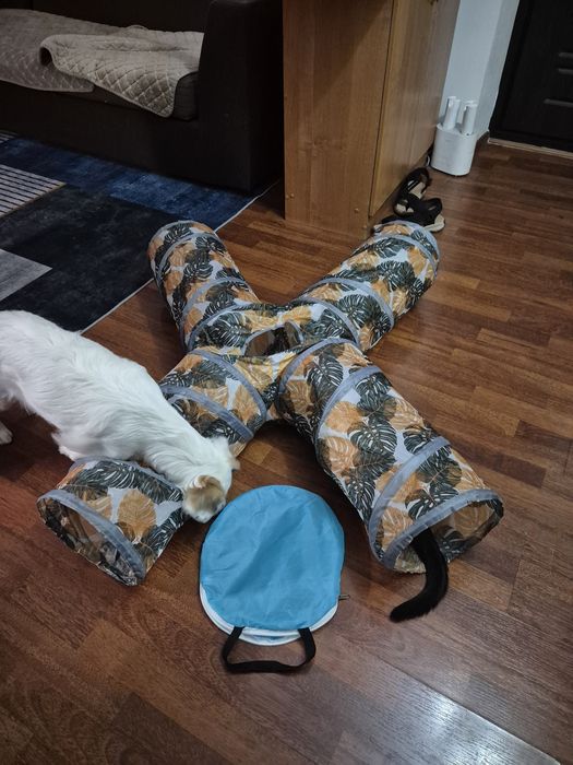 Тоннель для кошек, маленьких собак