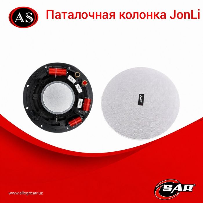 Потолочный динамик JONLI 8-10