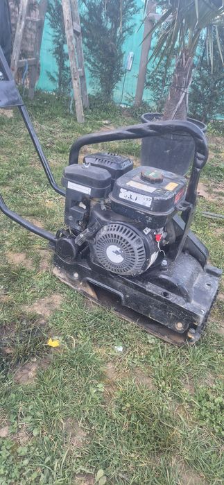 Placă Mikasă  Subaru