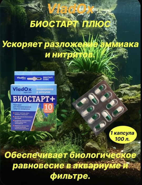 VladOx. Биостарт Плюс. 10 капсул.