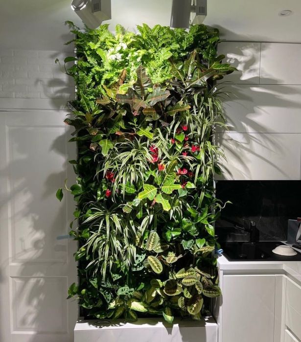 Комнатные цветы. Озеленение живыми  растениями