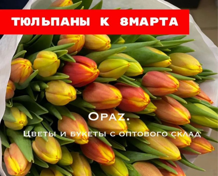 Тюльпаны напрямую. Тюльпаны оптом