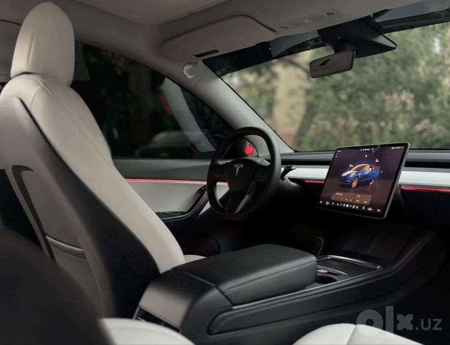 Tesla Model Y Performance 2022