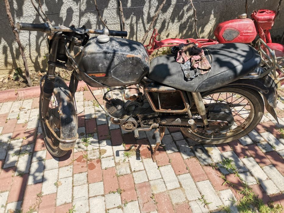 Mobra 50cm cu Acte
