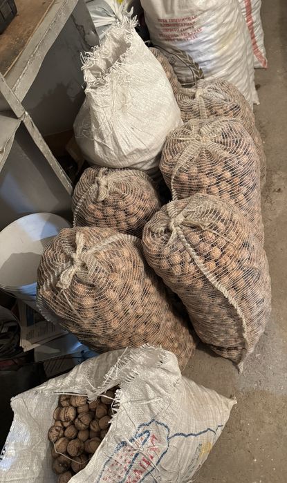 Орехи домашние свои