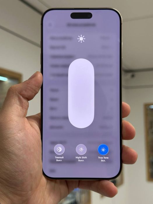iPhone 16 Pro Max | 256 GB | E-sim