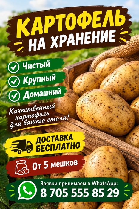 Картофель на хранение