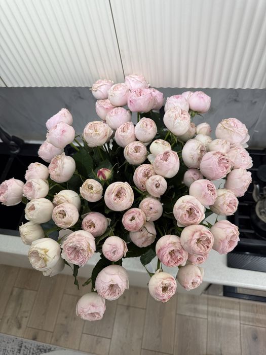 Цветы Пионовидные розы