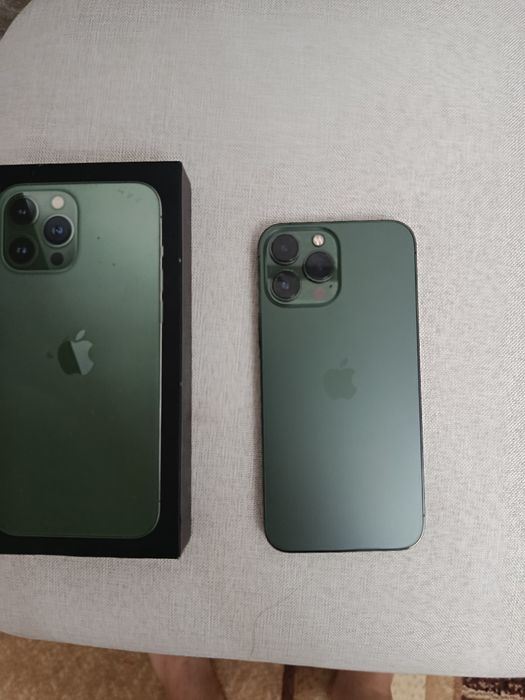 Iphon 13 pro max