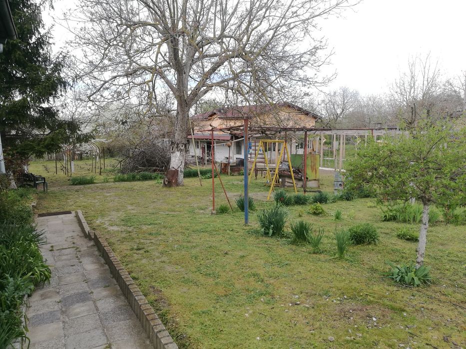 Рязане на опасни  дървета, косене на тревни площи.