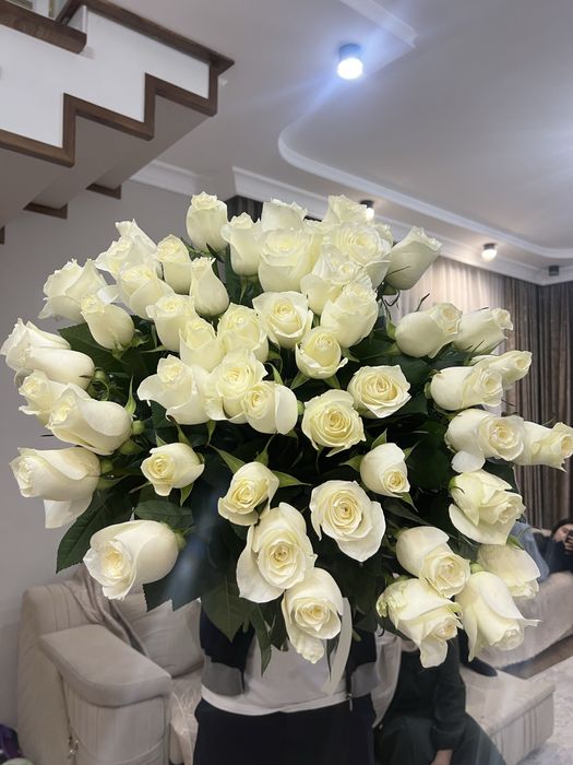 51голландская роза