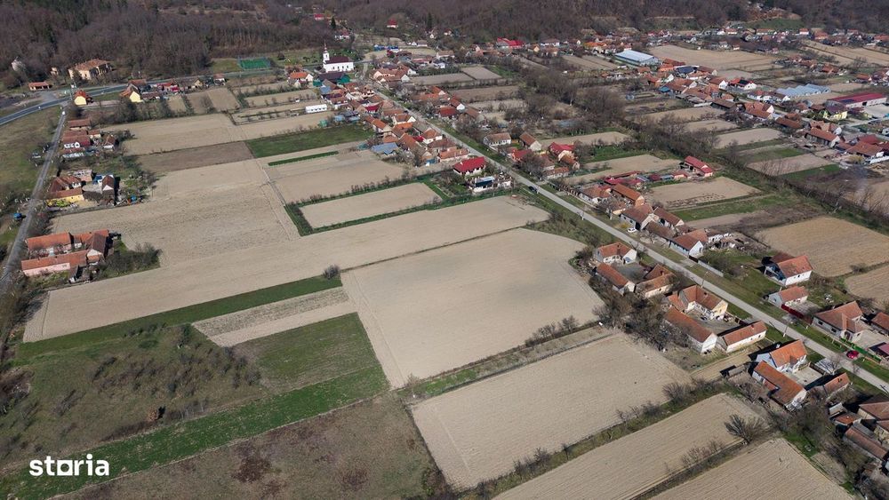 Loc de casă în Odvoș - Conop 3000mp