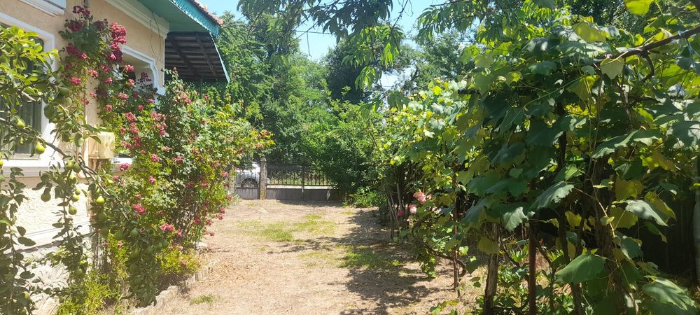 Casă de vânzare într-o zonă de poveste – Frâncești, comuna Peștișani, județul Gorj