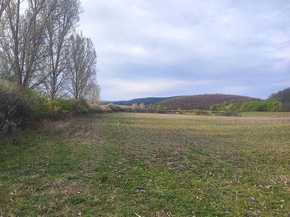 Teren  împrejmuit 6,40 ha