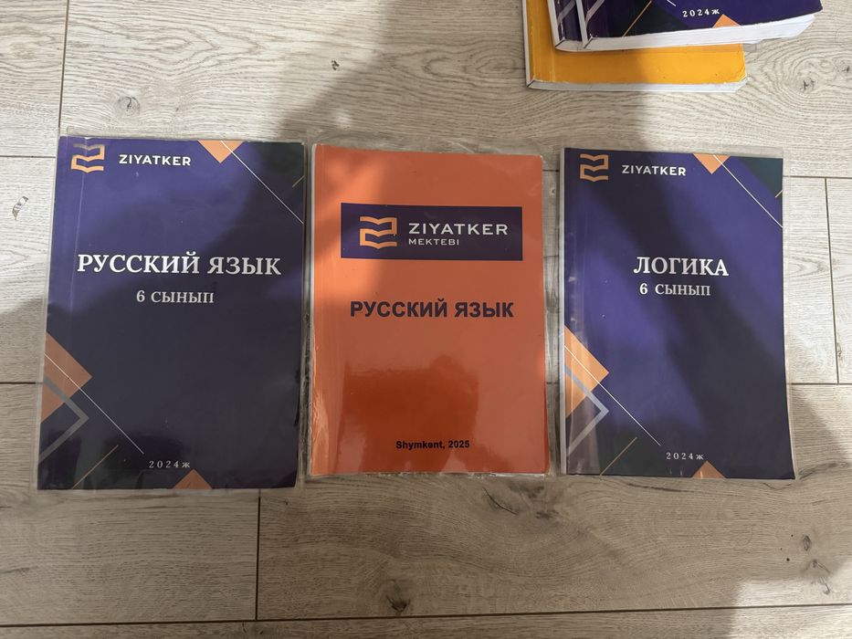 Книги Зияткер 6 класс