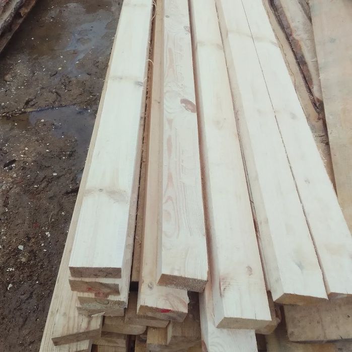 Осина, Берёза, Сосна