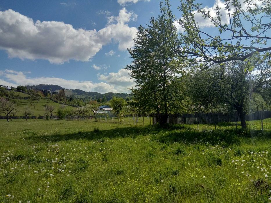 Teren intravilan la munte, in Nereju, Vrancea