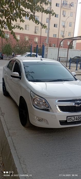 Cobalt 2022/2023