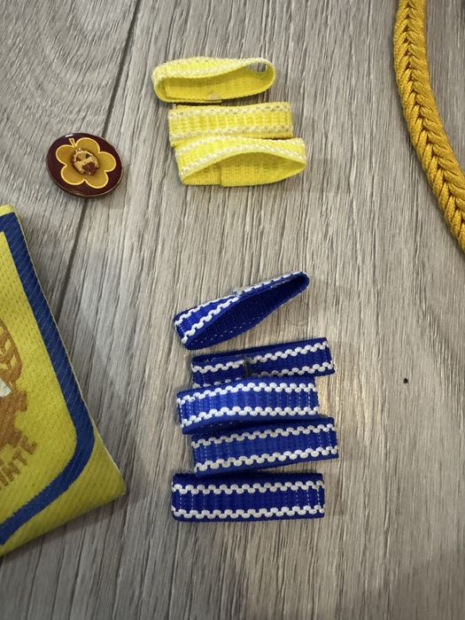 Accesorii pionier  perioada comunista