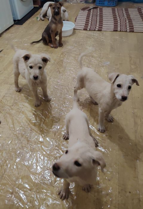 Малыши ждут своих родителей