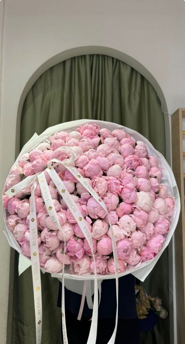Пионы свежие, нераскрытые  101 шт