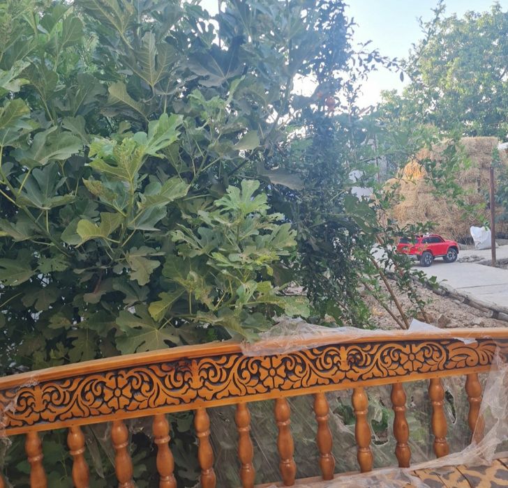 Срочно продаётся участка Сабзавотда