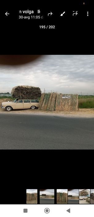 Xashak somon beda qamish