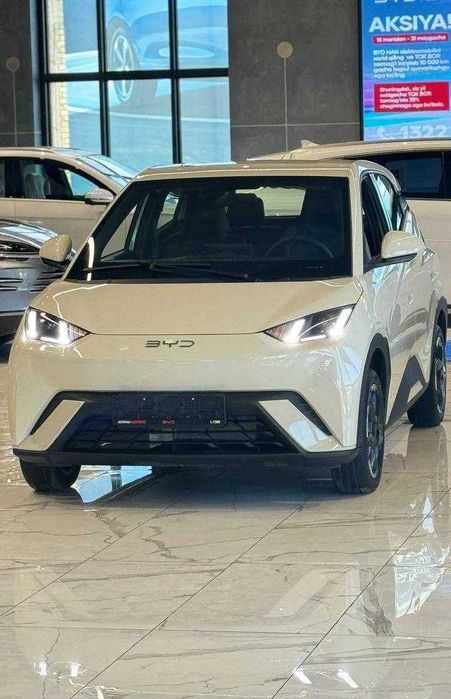 Byd Seagull naxt va halol nasiayga