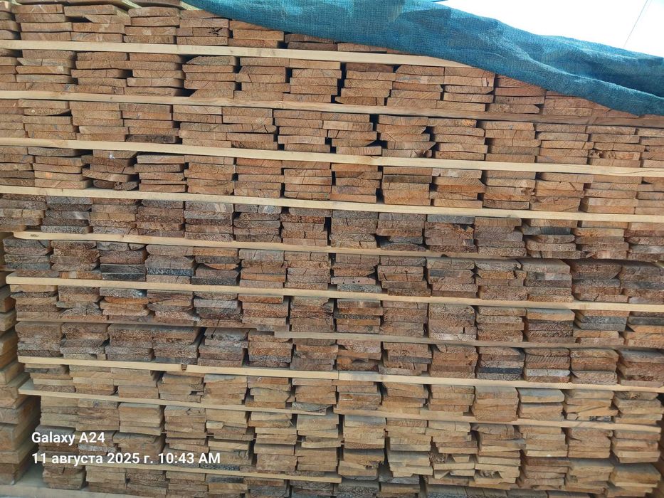 Taxta , Sasna Yog'ochi