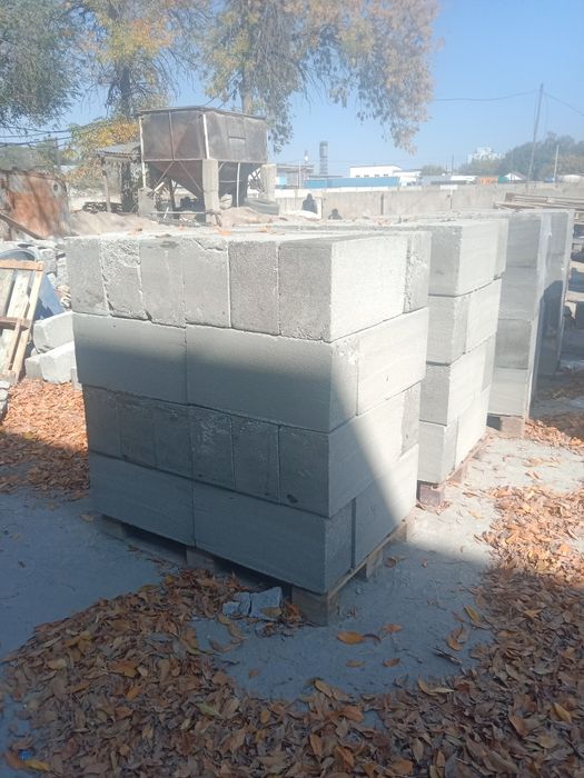 Газоблок 20*30*60