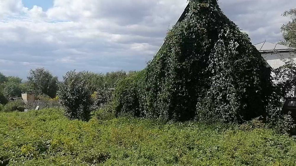 Дача СПП продаю .